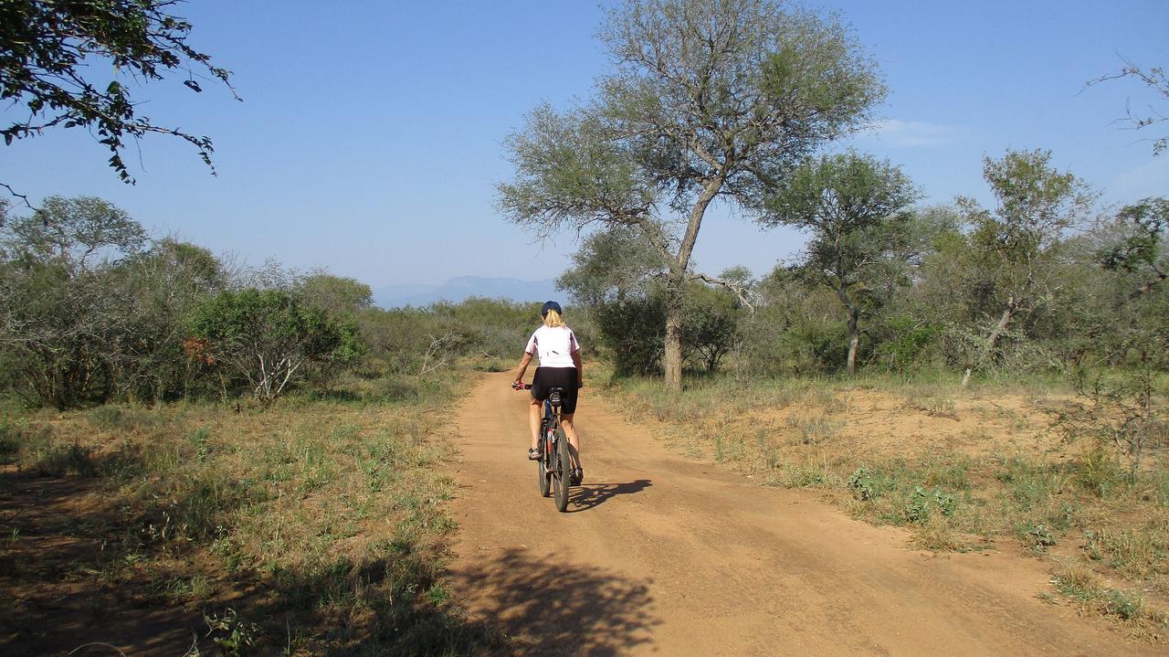 Woodpecker Lodge B&B Hoedspruit Extérieur photo