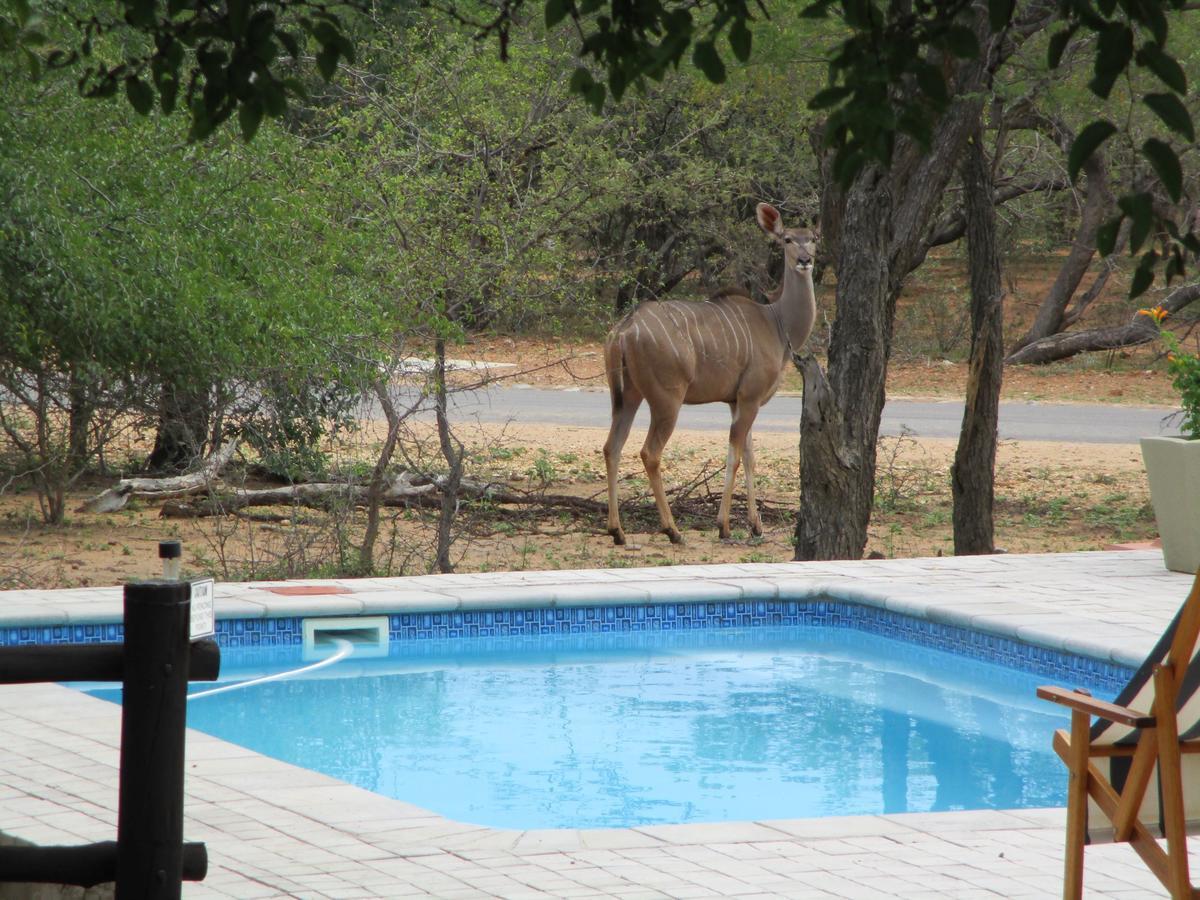 Woodpecker Lodge B&B Hoedspruit Extérieur photo